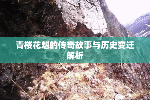 青楼花魁的传奇故事与历史变迁解析