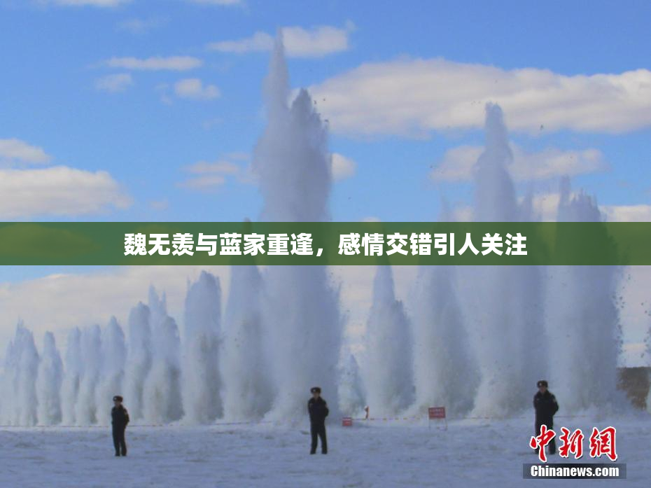 魏无羡与蓝家重逢，感情交错引人关注