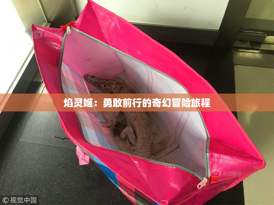 焰灵姬：勇敢前行的奇幻冒险旅程