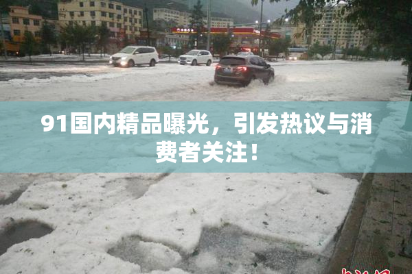 91国内精品曝光，引发热议与消费者关注！