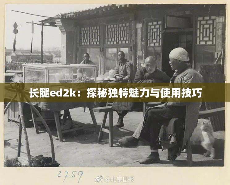 长腿ed2k：探秘独特魅力与使用技巧