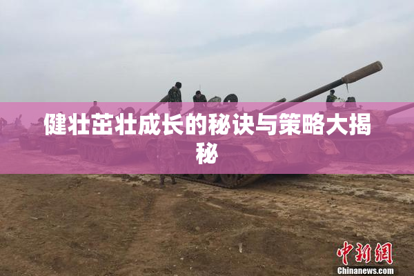 健壮茁壮成长的秘诀与策略大揭秘