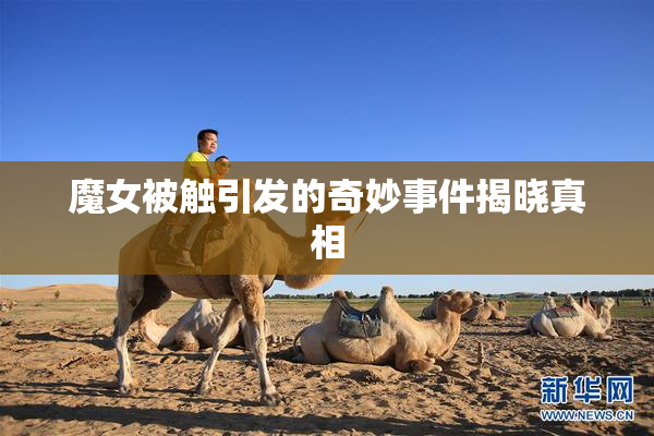魔女被触引发的奇妙事件揭晓真相