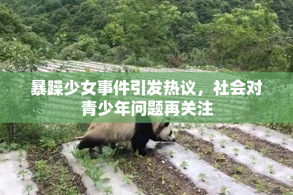 暴躁少女事件引发热议，社会对青少年问题再关注