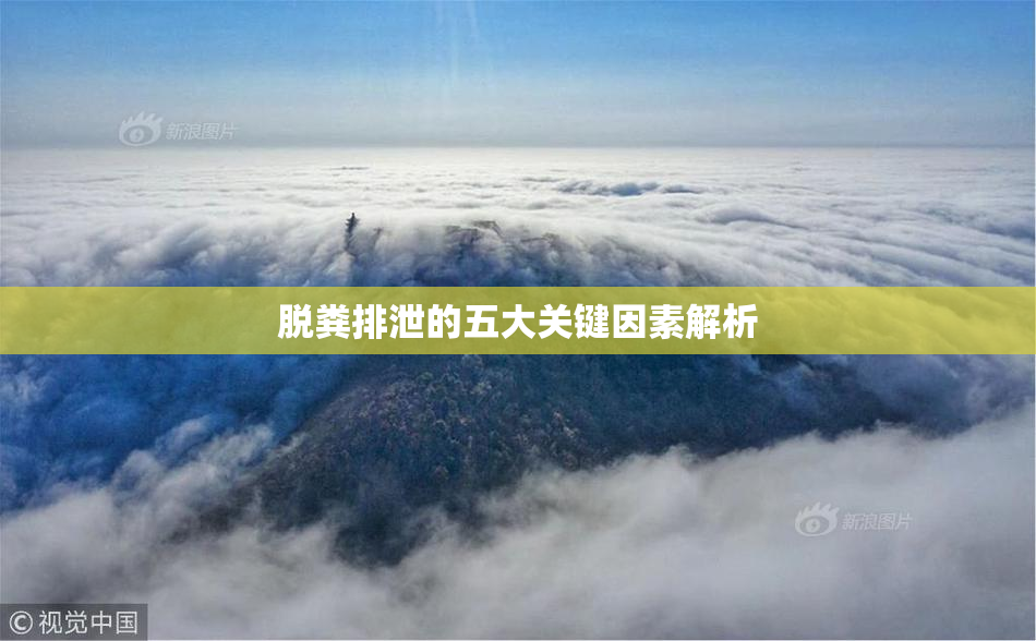 脱粪排泄的五大关键因素解析