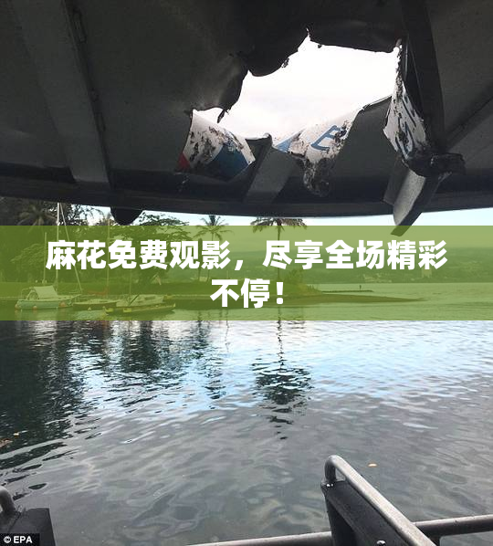 麻花免费观影，尽享全场精彩不停！