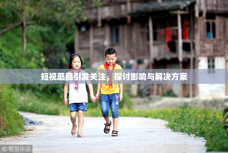 短视蘑菇引发关注，探讨影响与解决方案