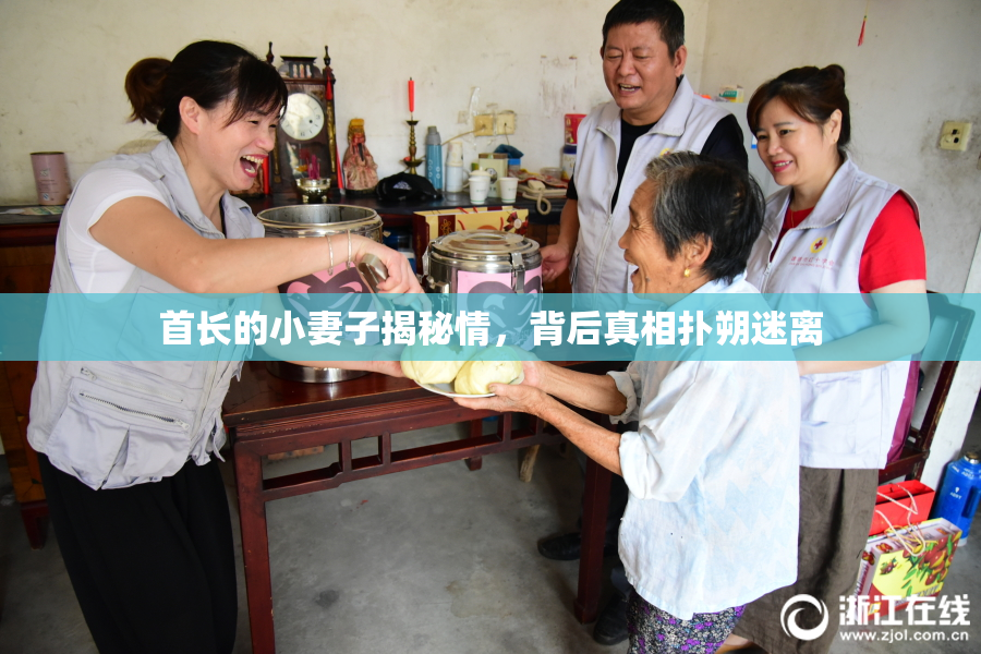 首长的小妻子揭秘情，背后真相扑朔迷离