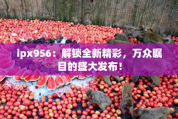 ipx956：解锁全新精彩，万众瞩目的盛大发布！