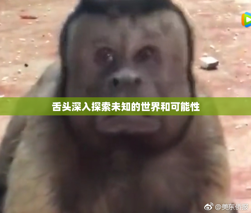 舌头深入探索未知的世界和可能性