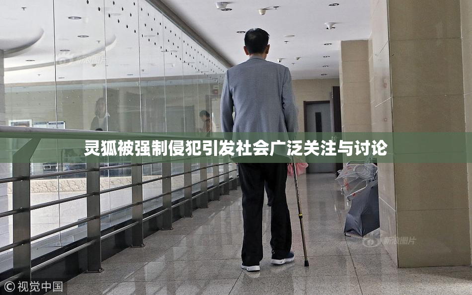 灵狐被强制侵犯引发社会广泛关注与讨论