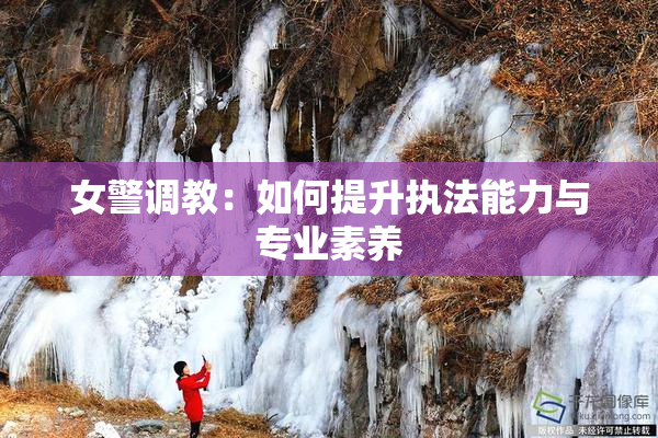 女警调教：如何提升执法能力与专业素养