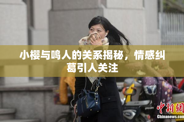 小樱与鸣人的关系揭秘，情感纠葛引人关注