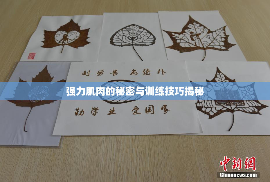 强力肌肉的秘密与训练技巧揭秘
