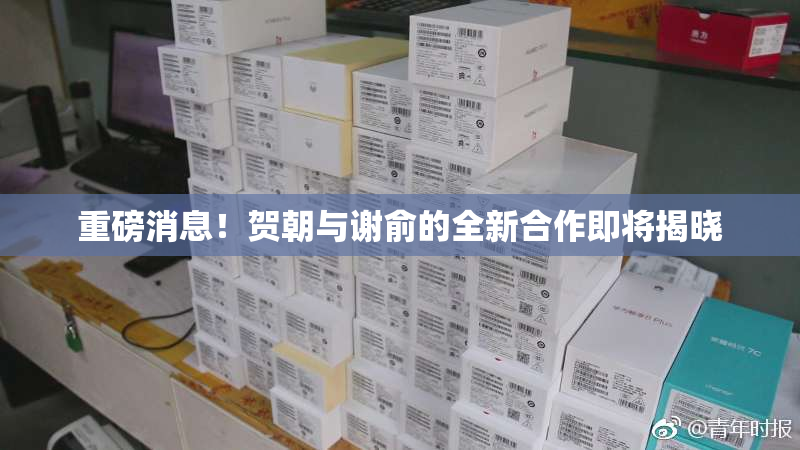 重磅消息！贺朝与谢俞的全新合作即将揭晓