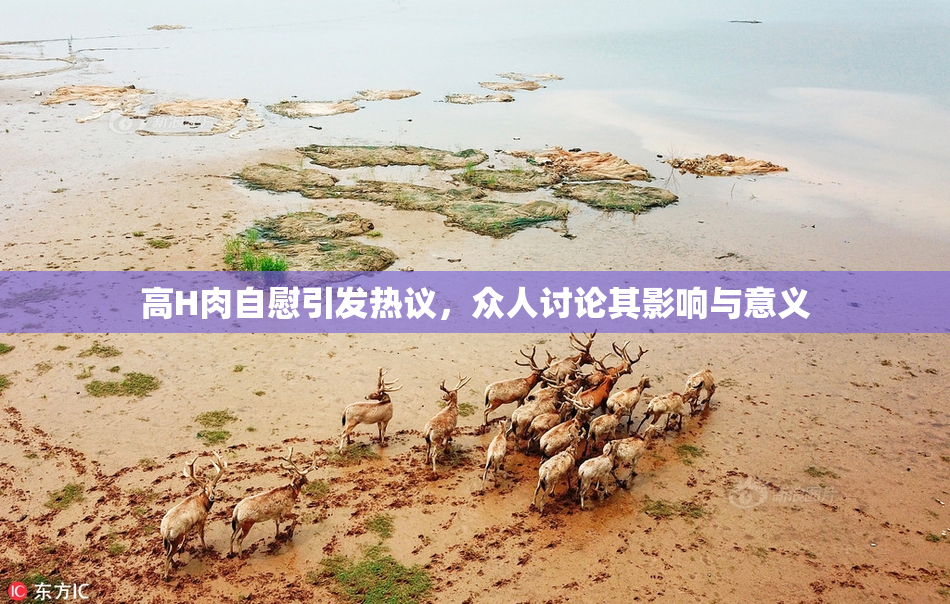 高H肉自慰引发热议，众人讨论其影响与意义