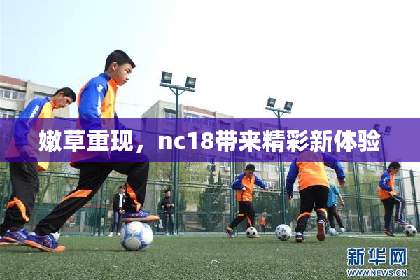 嫩草重现，nc18带来精彩新体验