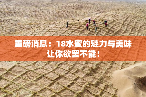 重磅消息：18水蜜的魅力与美味让你欲罢不能！