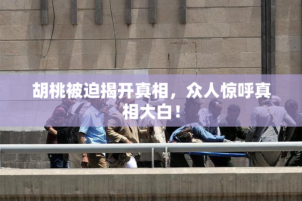 胡桃被迫揭开真相，众人惊呼真相大白！