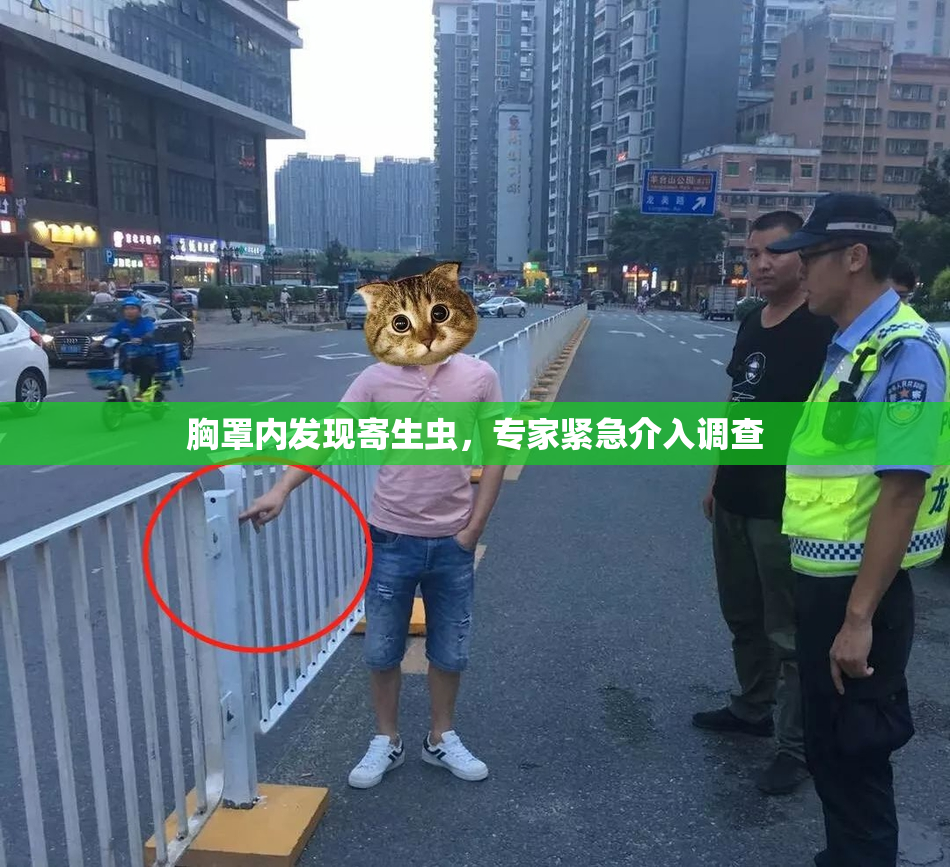 胸罩内发现寄生虫，专家紧急介入调查
