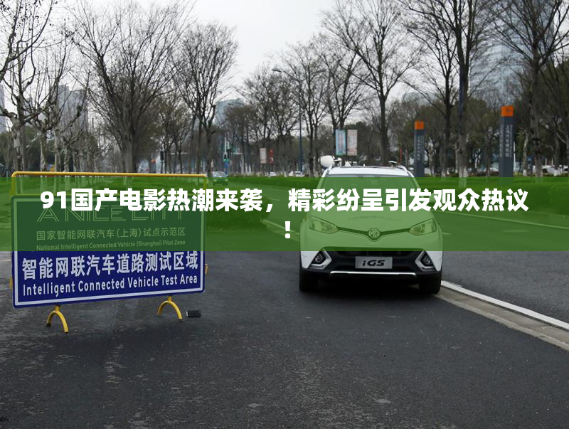 91国产电影热潮来袭，精彩纷呈引发观众热议！