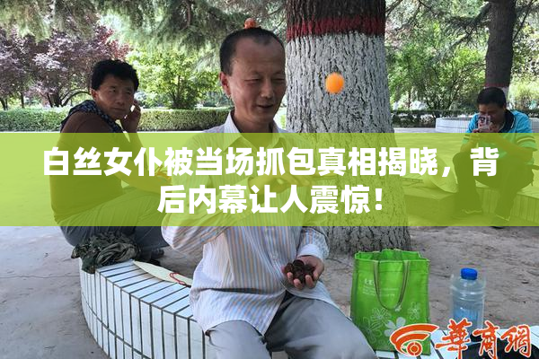白丝女仆被当场抓包真相揭晓，背后内幕让人震惊！