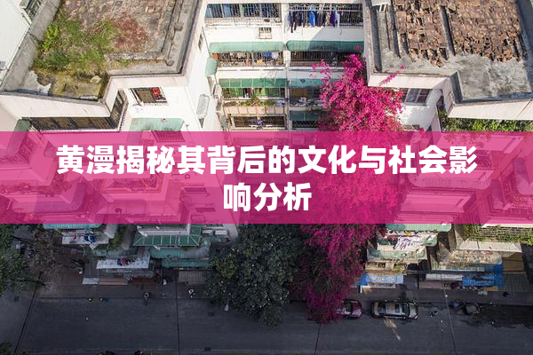 黄漫揭秘其背后的文化与社会影响分析