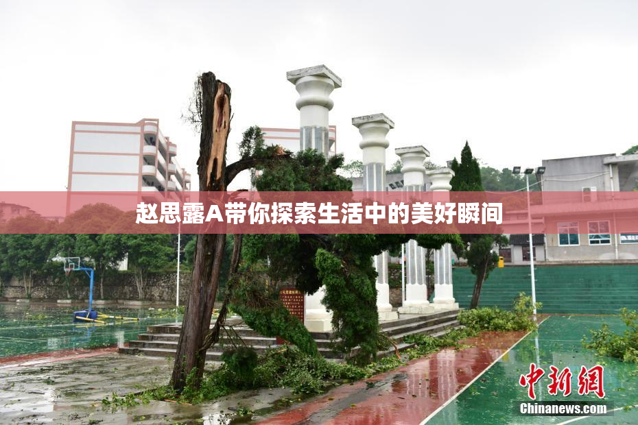 赵思露A带你探索生活中的美好瞬间