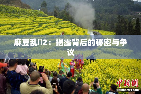 麻豆乱婬2：揭露背后的秘密与争议