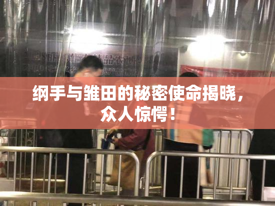 纲手与雏田的秘密使命揭晓，众人惊愕！