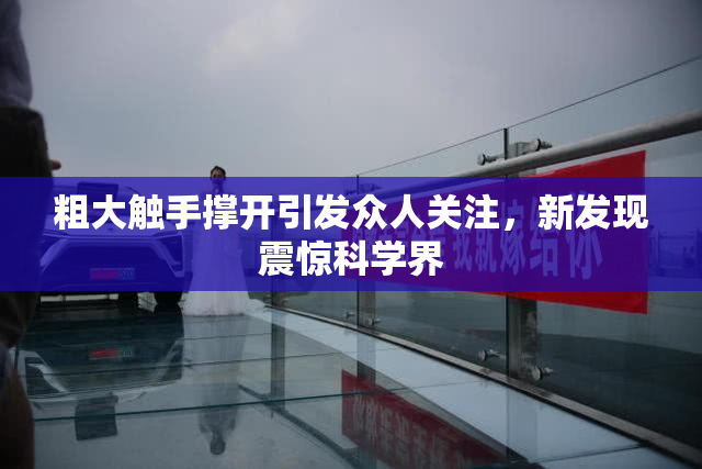粗大触手撑开引发众人关注，新发现震惊科学界