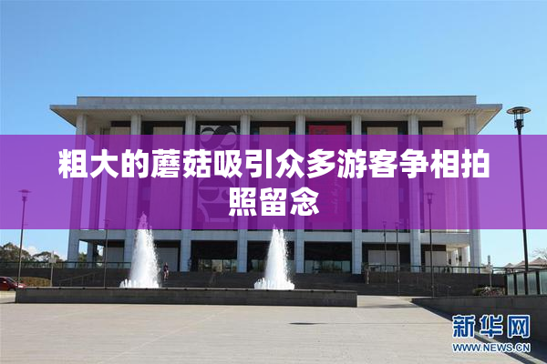 粗大的蘑菇吸引众多游客争相拍照留念
