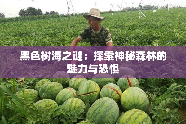 黑色树海之谜：探索神秘森林的魅力与恐惧