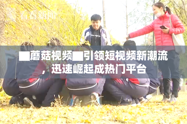 ▇蘑菇视频▇引领短视频新潮流，迅速崛起成热门平台