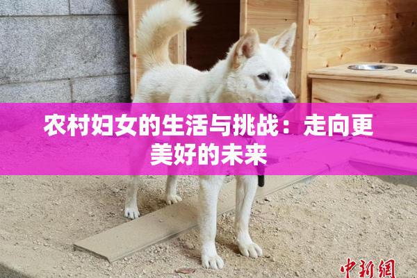 农村妇女的生活与挑战：走向更美好的未来