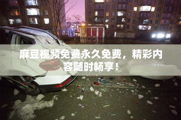 麻豆视频免费永久免费，精彩内容随时畅享！