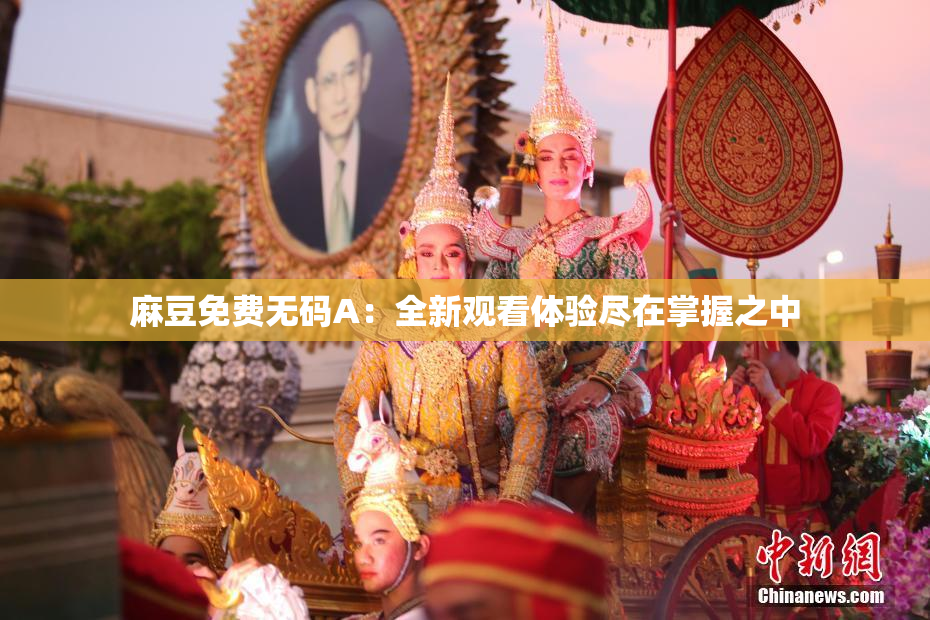 麻豆免费无码A：全新观看体验尽在掌握之中