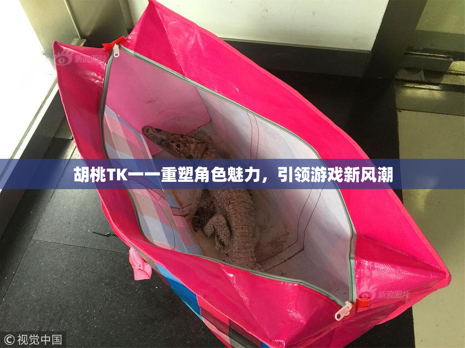 胡桃TK一一重塑角色魅力，引领游戏新风潮