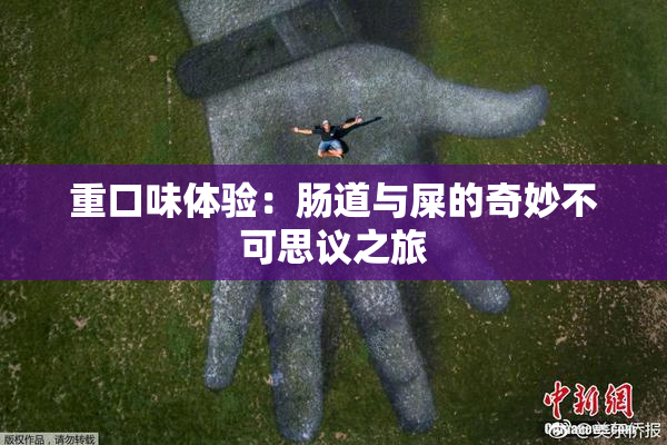 重口味体验：肠道与屎的奇妙不可思议之旅
