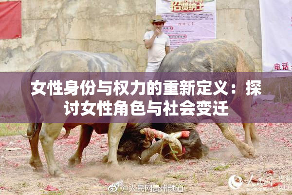 女性身份与权力的重新定义：探讨女性角色与社会变迁