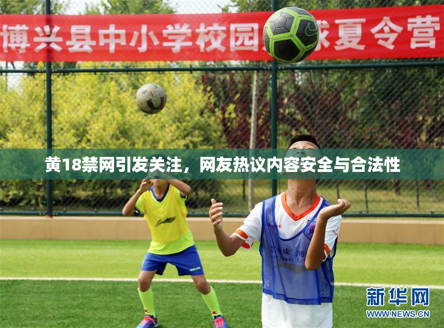 黄18禁网引发关注，网友热议内容安全与合法性