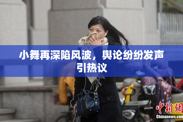 小舞再深陷风波，舆论纷纷发声引热议