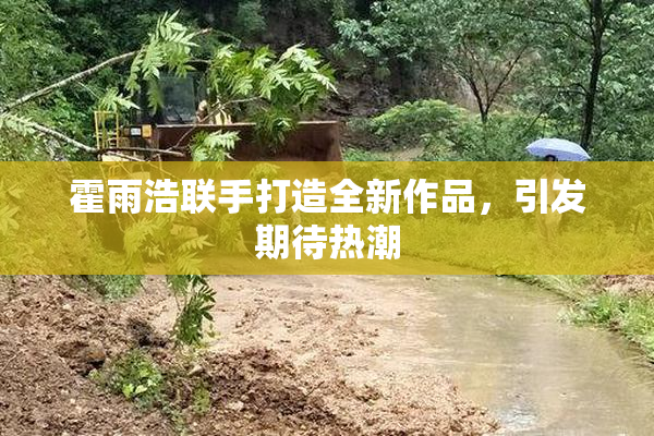 霍雨浩联手打造全新作品，引发期待热潮
