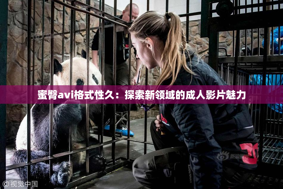蜜臀avi格式性久：探索新领域的成人影片魅力