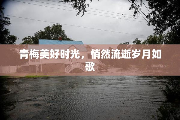 青梅美好时光，悄然流逝岁月如歌
