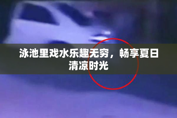泳池里戏水乐趣无穷，畅享夏日清凉时光