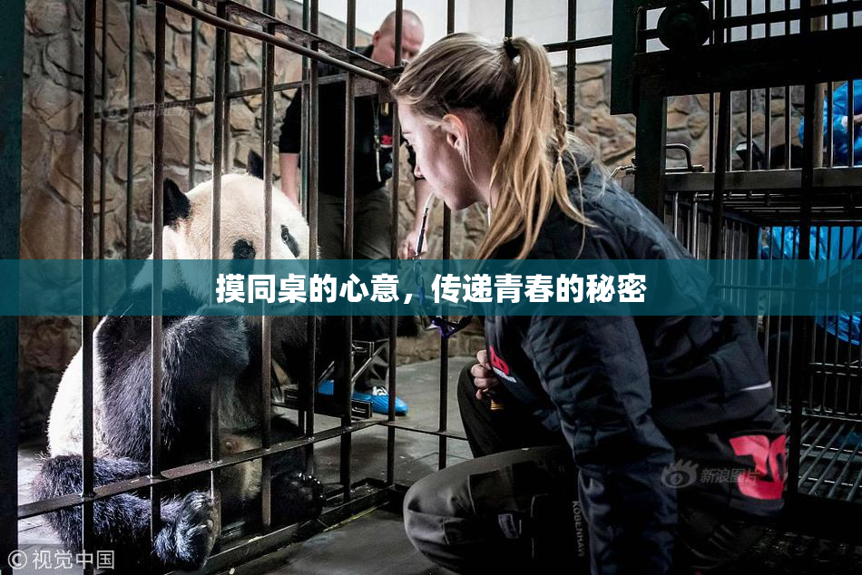 摸同桌的心意，传递青春的秘密
