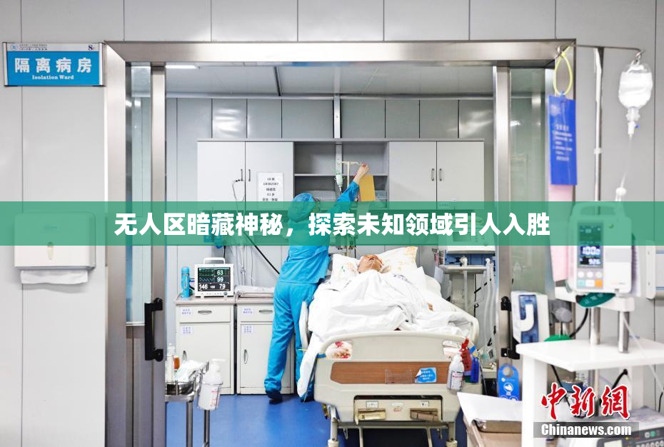 无人区暗藏神秘，探索未知领域引人入胜