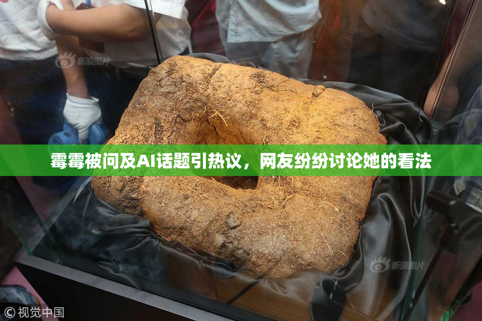 霉霉被问及AI话题引热议，网友纷纷讨论她的看法