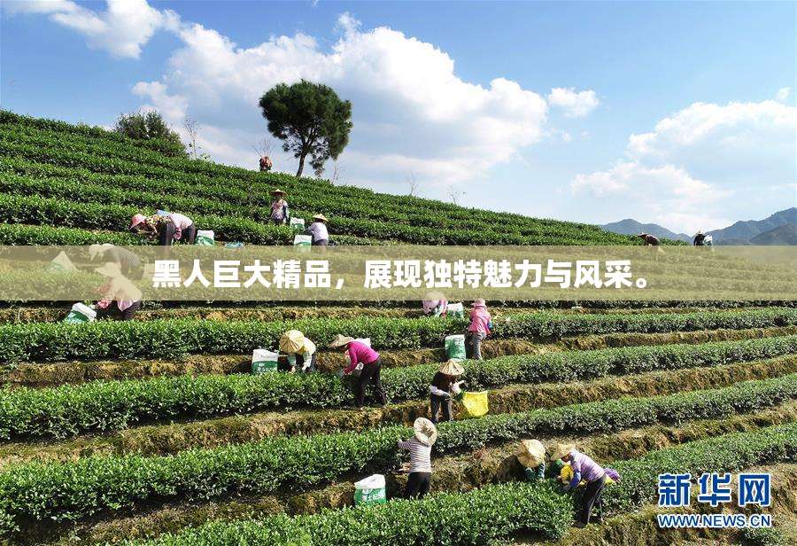 黑人巨大精品，展现独特魅力与风采。
